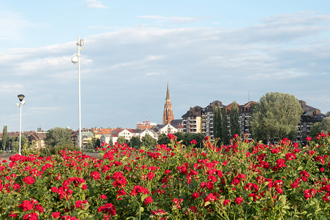 Slavonia Croatia // Photo by 2ban/iStock/Getty Images Plus/Getty Images Slavonia Croatia
