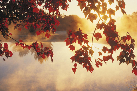 Fall Digital Vision./DigitalVision/Getty Images (Editorial Only) Fall Digital Vision./DigitalVision/Getty Images (Editorial Only)