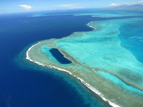 New Caledonia Getty Coral reef in New Caledonia