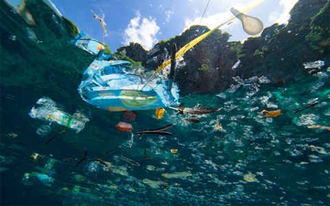 getty plastic image getty plastic image