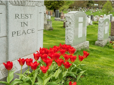 headstone rest in peace illustrating death of something