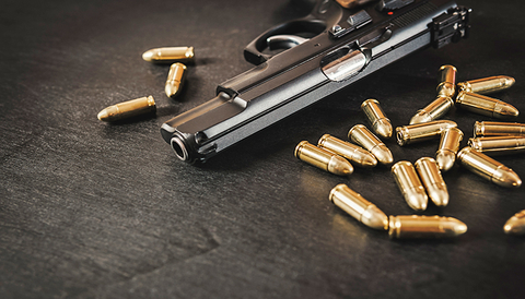 firearm-ts-770.jpg