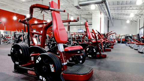 Strength equipment such as Star Trac39s Leverage plateloaded line shown here at UFC Gym in Torrance CA could last 10 years or more depending on the amount of use the condition and the overall quality of the equipment Photo courtesy of Star Trac