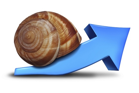 Independent survey results show slow but promising growth in the health club industry Photo by Thinkstock