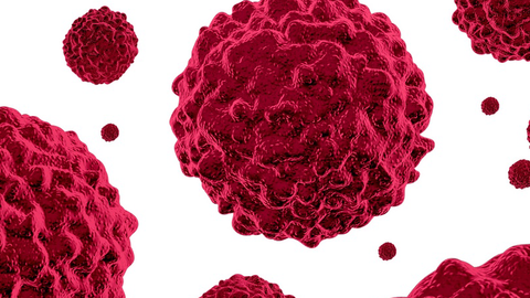 Tumors Tumors