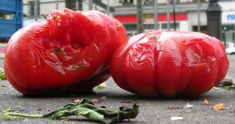 Rotten-tomato rotten tomatoes