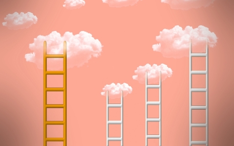 Ladder Ladder
