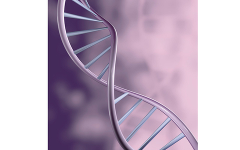Genetically modified Genetically modified
