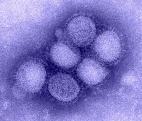 flu virus (CDC) purple flu virus