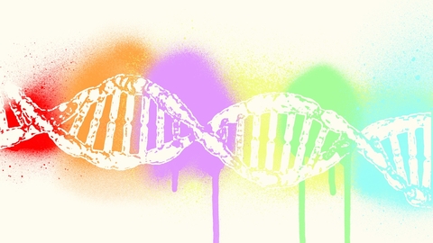 dna rainbow data DNA