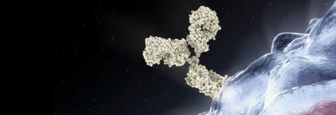 BeiGene immuno-oncology BeiGene immuno-oncology