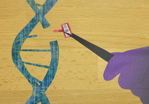 Gene Editing Gene Editing