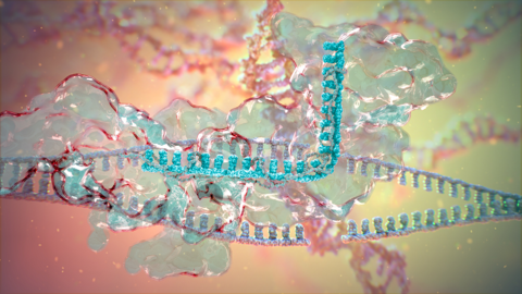 CRISPR technology for genome editing (Source: AstraZeneca) CRISPR technology for genome editing (Source: AstraZeneca)