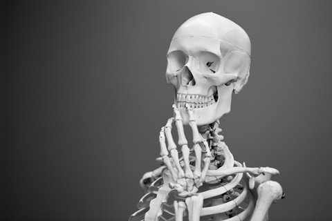 skeleton skeleton