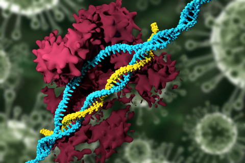 MITCRISPR CRISPR Nanoparticle