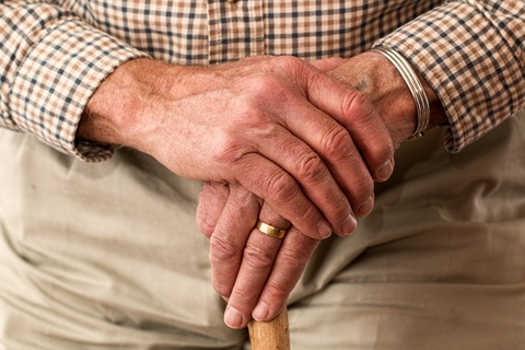 Old hands on walking stick Old hands on walking stick