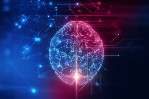 3D rendering of a brain blue purple pink Blue purple pink 3d rendering of brain