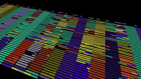 Human Genome Genome Analysis