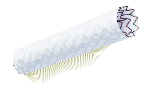 Biotronik PK Papyrus Biotronik PK Papyrus
