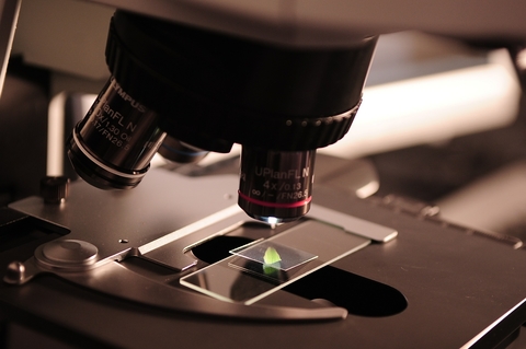 microscope microscope