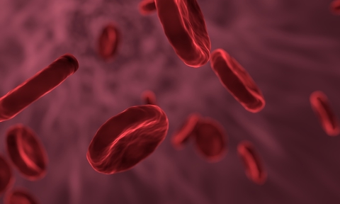red blood cells 2 red blood cells