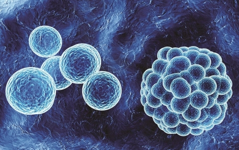 ImmunoOncology Immuno-Oncology