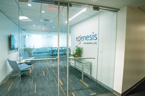 eGenesis office eGenesis office