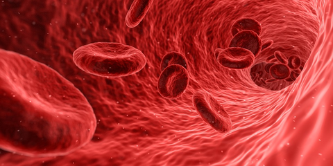 blood flow Minimally invasive blood flow probe allows continuous monitoring (Pixabay)