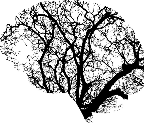 AI brain illo illustration of brain using branches for AI