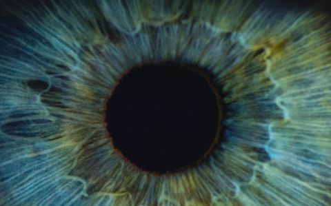 eye eye