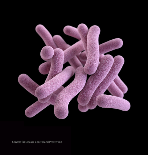 Tuberculosis Tuberculosis