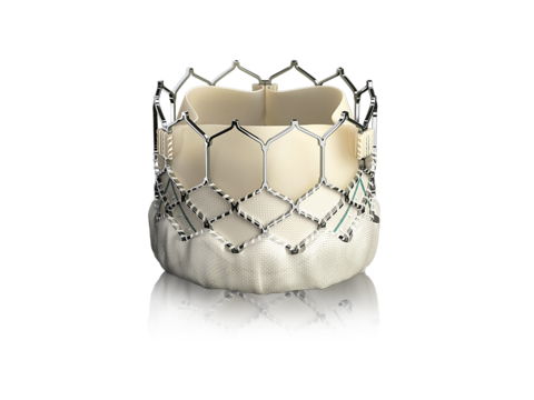 Sapien 3 TAVR - 800x600 Sapien 3 TAVR device on white background