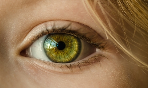 Eye Eye