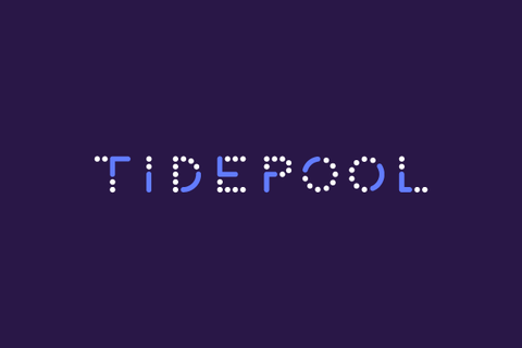 Tidepool Tidepool