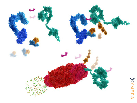 Illustration of proteins