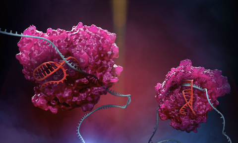 RNA edit CRISPR RNA
