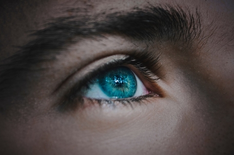 eye eyeball Eye