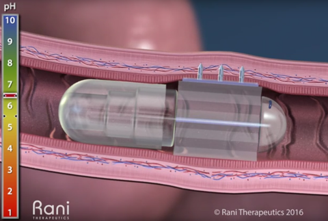 Rani Pill Rani Pill