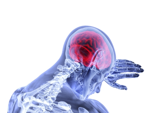 Brain Brain
