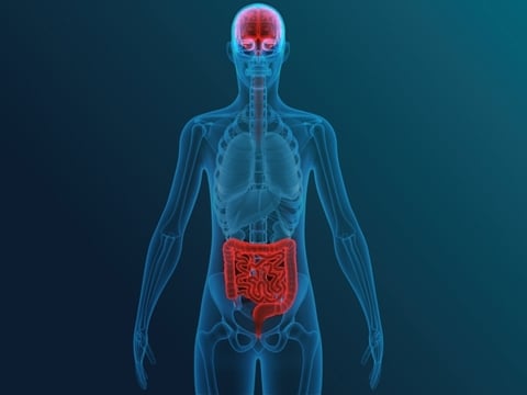 Brain-gut axis Brain-gut axis