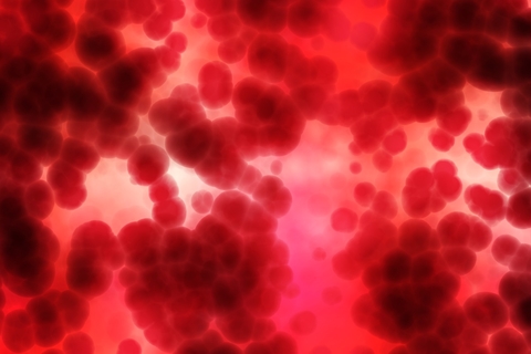 Red Blood DNA cell Red blood cells