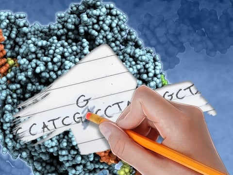 Beam Therapeutics illustration of a hand erasing a nucleotide base letter and writing in a new one