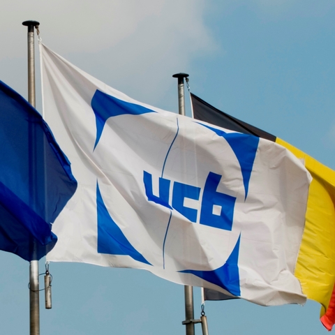 UCB logo on flag UCB logo on flag
