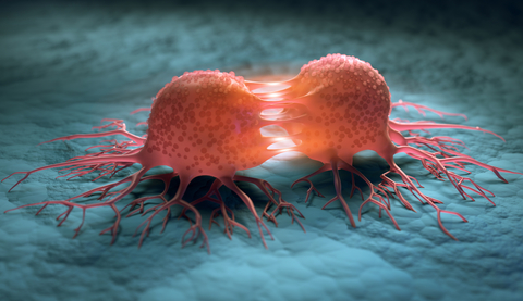 Tumor Cancer cells reproduction