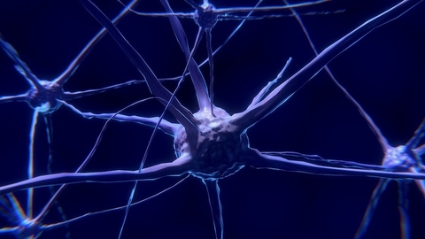 Neuron illustration of a nerve cell or neuron