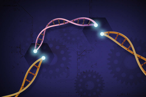 CRISPR CRISPR-Cas9