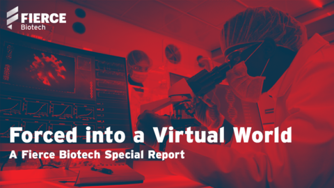 Forced Into A Virtual World Forced Into A Virtual World