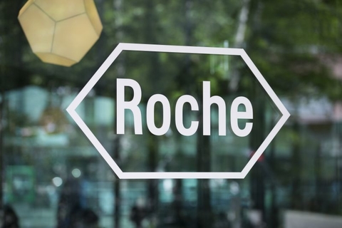 Roche Roche