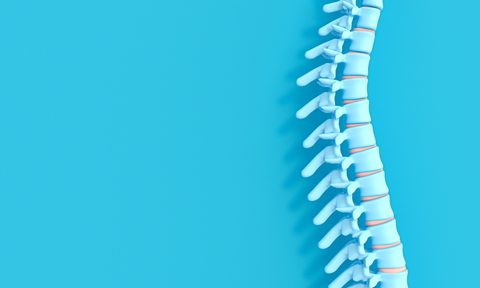 3D render image of a spine spine