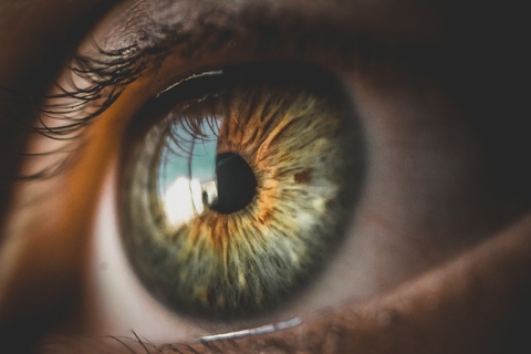 Eye Eye